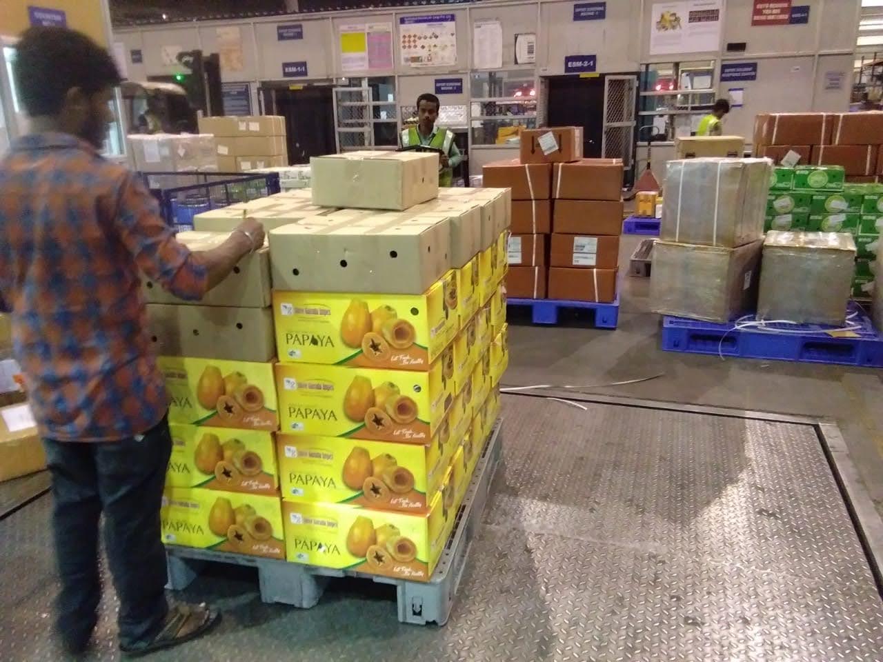 Loading goods onto export containers