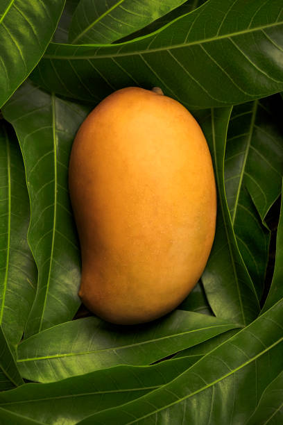 Mangoes