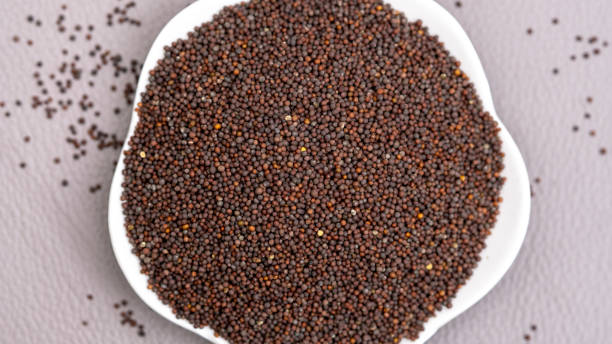 Mustard Seeds