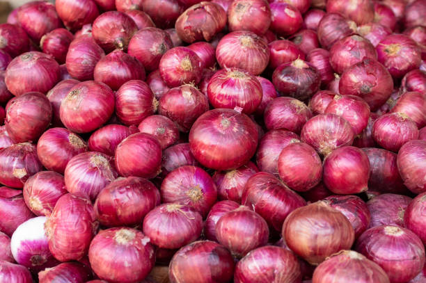 Organic Onions