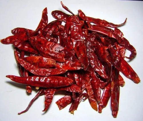 Red Chili
