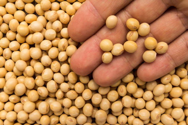 Soybeans